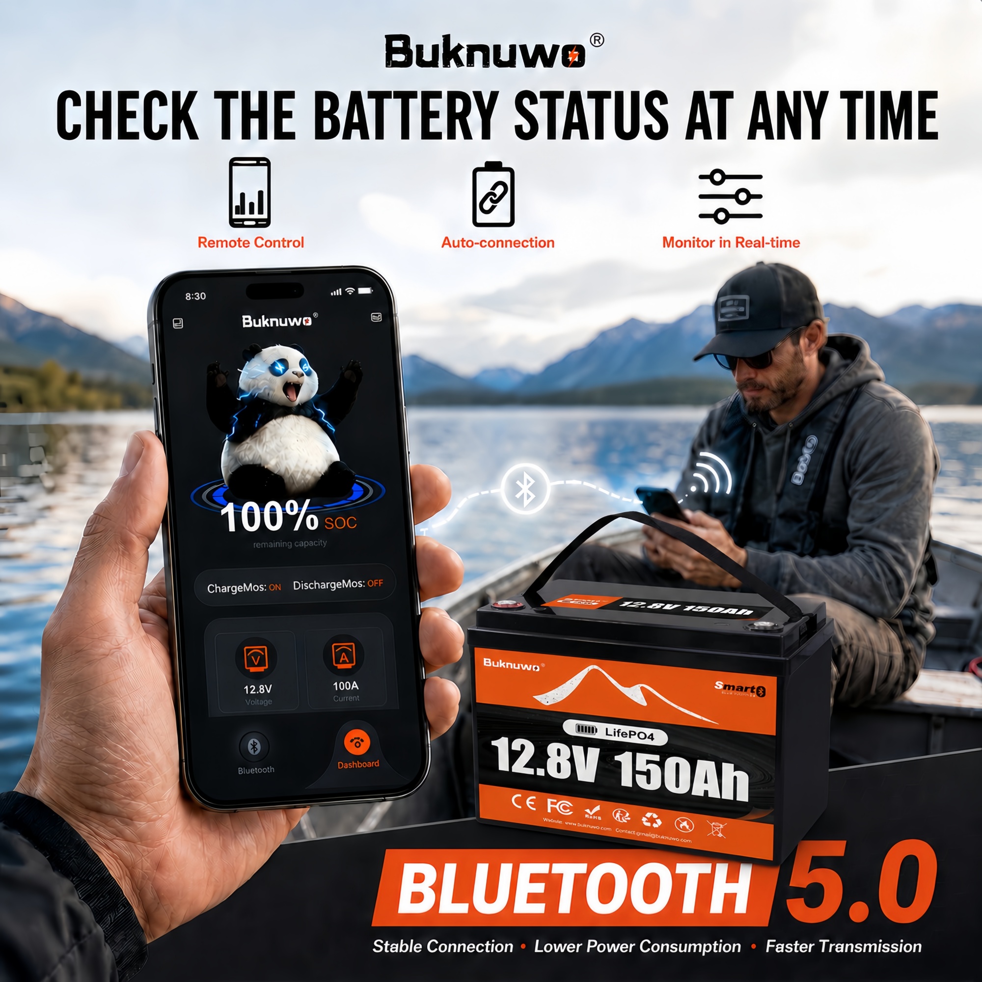 Smart 12V/12.8V 150Ah Bluetoot - Outdoor Power Supply 12V review and price