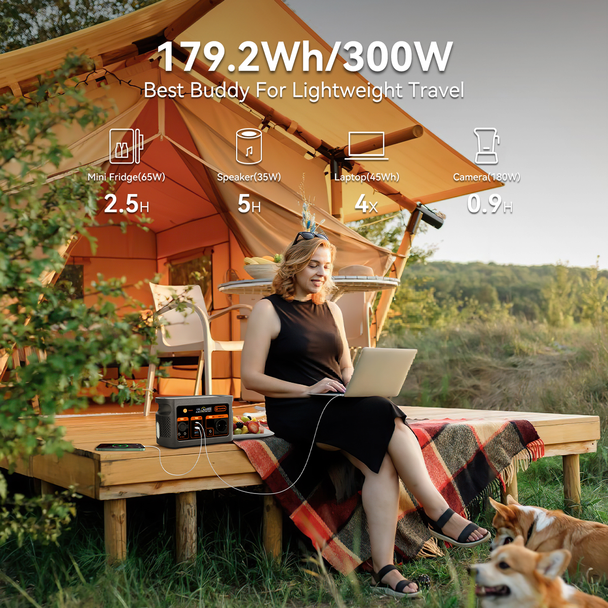 300W pure sine wave solar gene - Outdoor Power Generator review and price