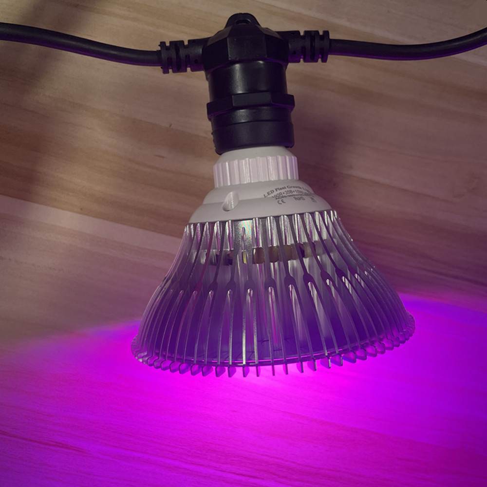 10M Cable LED String Commercia - Outdoor Power Socket review and price
