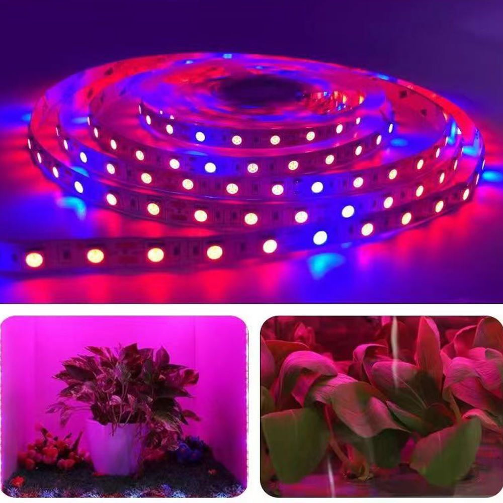 20M LED Grow Light Spectrum DC - Outdoor Usb Power Strip review and price