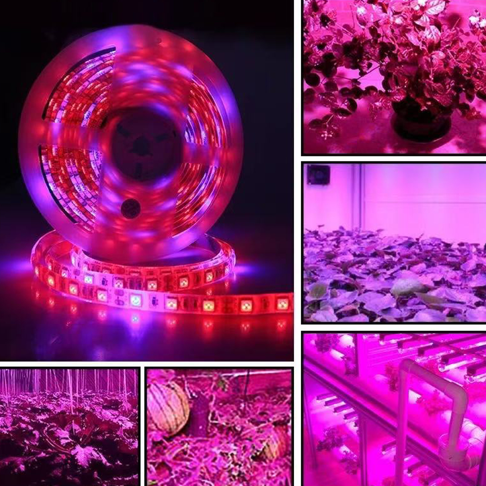 20M LED Grow Light Spectrum DC - Outdoor Usb Power Strip review and price