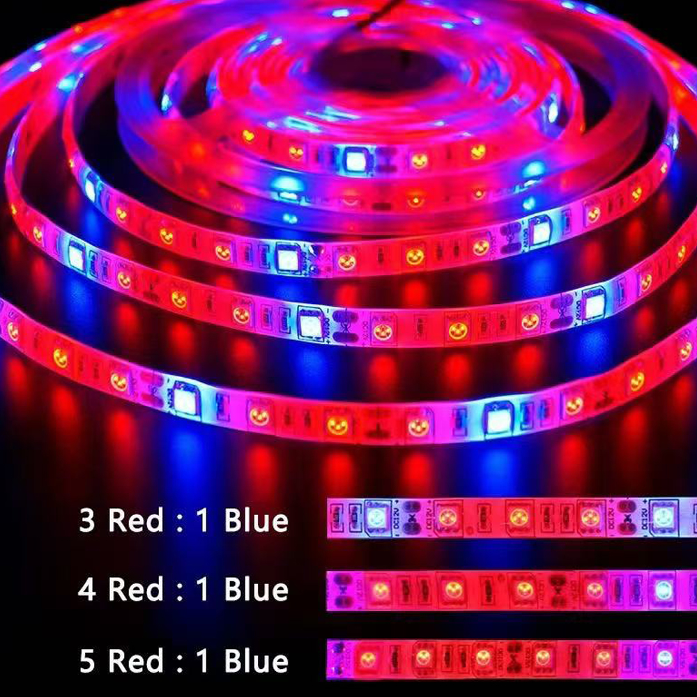 20M LED Grow Light Spectrum DC - Outdoor Usb Power Strip review and price