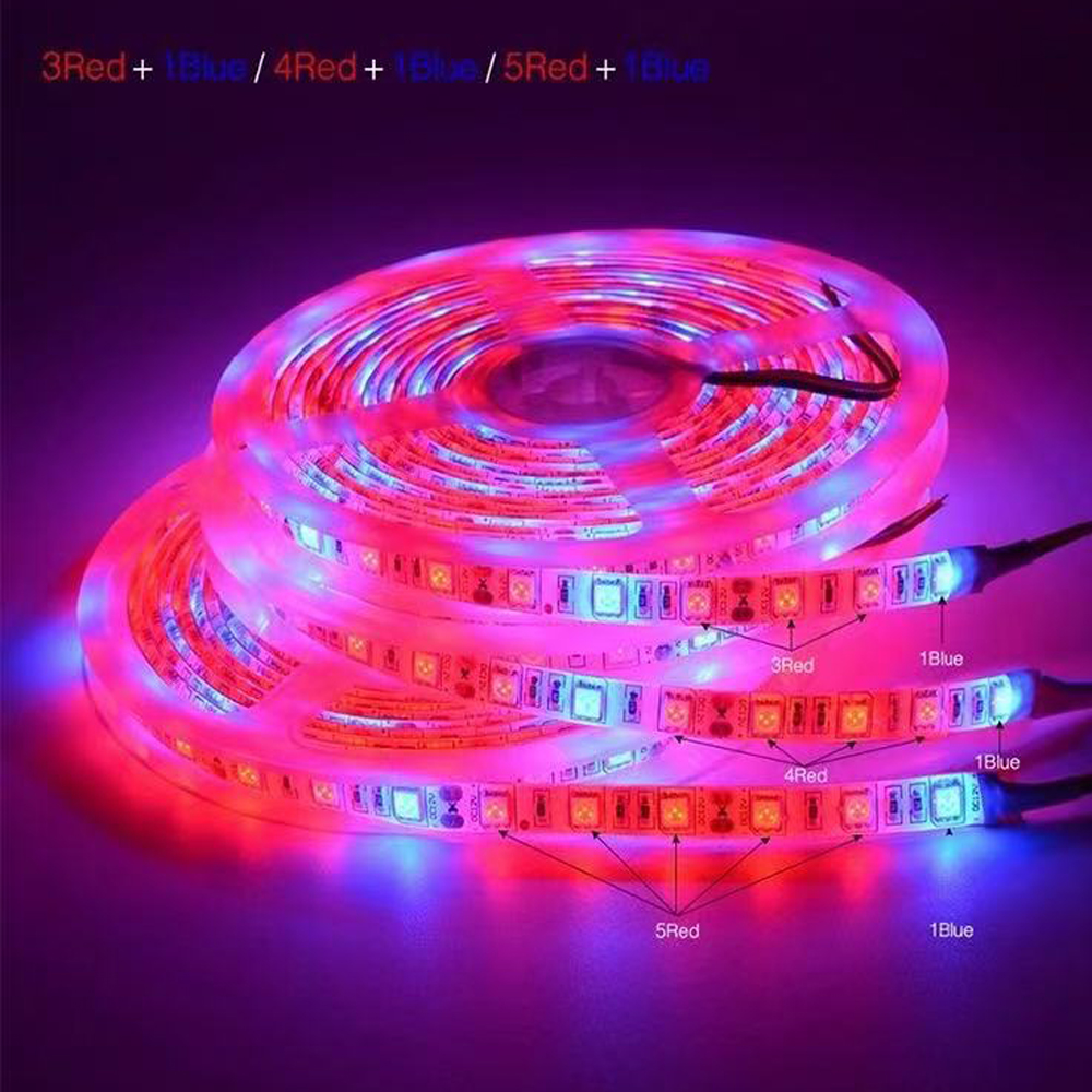 20M LED Grow Light Spectrum DC - Outdoor Usb Power Strip review and price