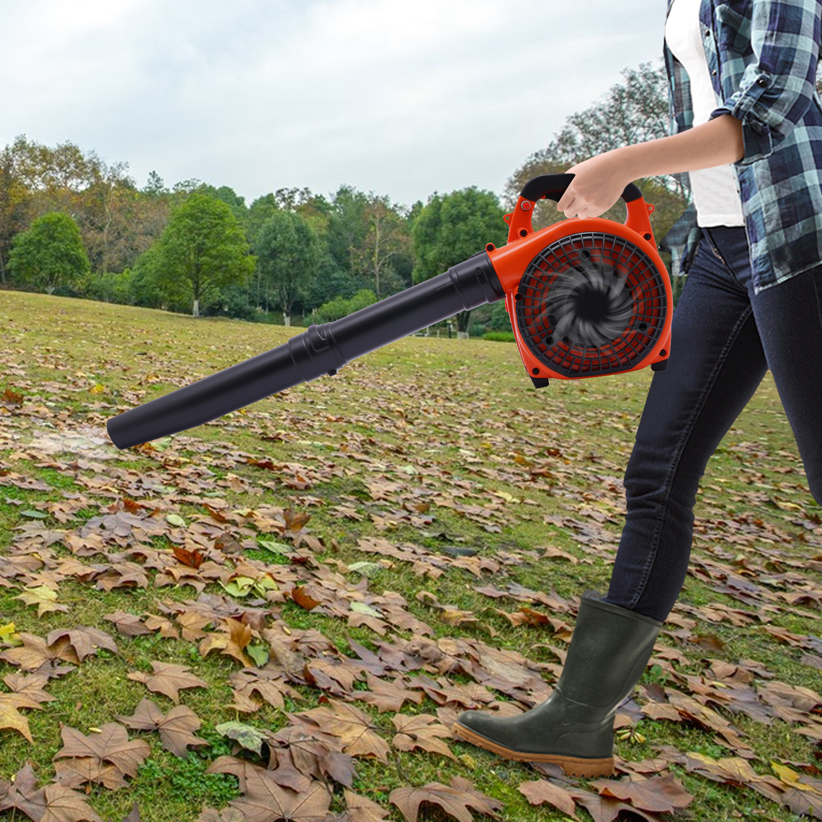 Portable Engine Leaf Blower 70 - Snow Blower Single review and price