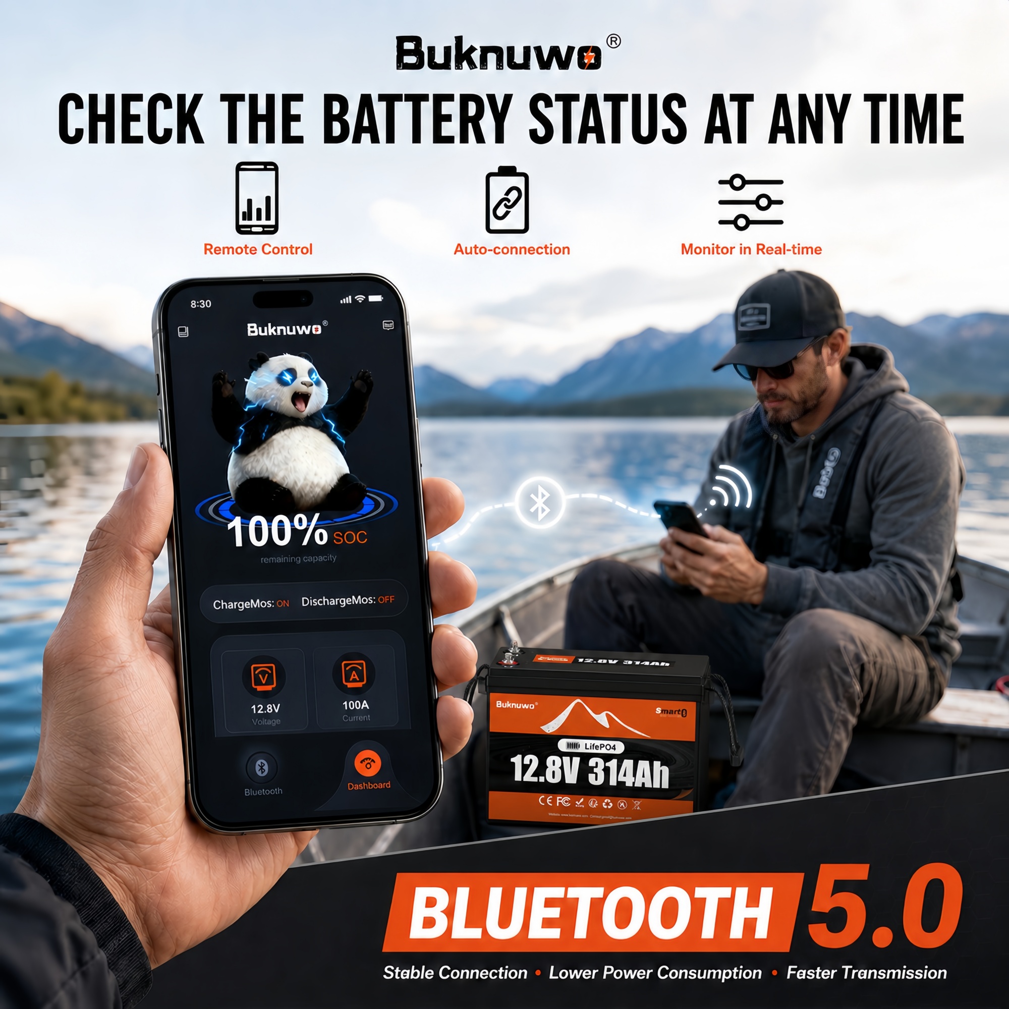 Smart 12V/12.8V 314Ah Bluetoot - Outdoor Power Supply 12V review and price