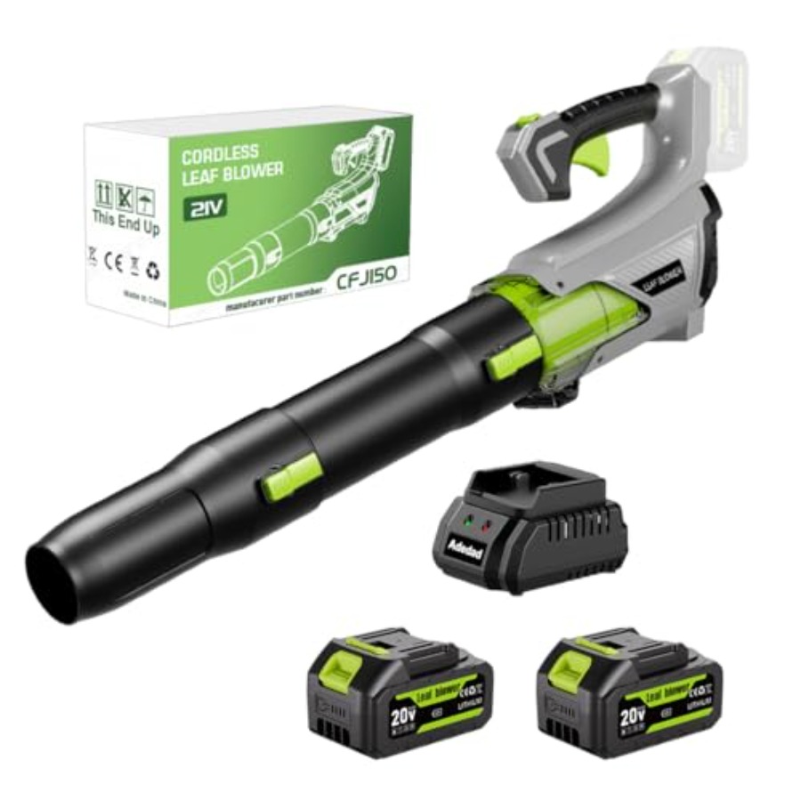 Cordless Leaf Blower with 2x40 - Leaf Blower Cordless review and price
