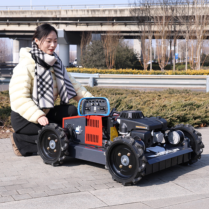 Customized Hot Sale Mini Crawl - Hedge Trimmer Cordless review and price