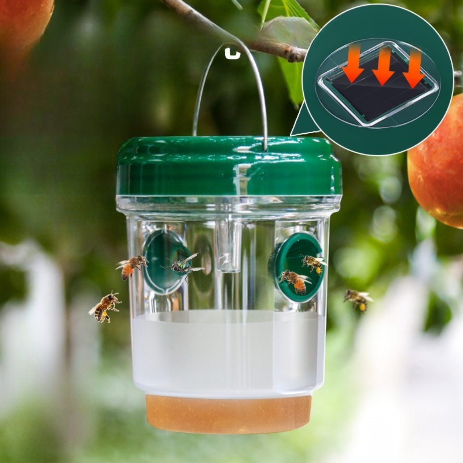 1-6PCS Solar Wasp Trap Waterpr - Outdoor Power Outlet Solar review and price